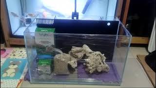 Paket aquarium laut vivaria optic clear 60cm [upl. by Ahsropal]