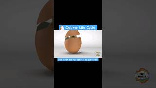 Chicken Life Cycle Educational Video earlychildhoodeducation education learning [upl. by Perri]