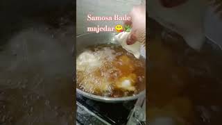 Samosa Bade majedar😋🌿🤗 song music hindisong cooking food 21k video [upl. by Omsoc]