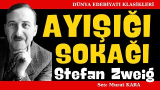 quotAyışığı Sokağıquot Stefan Zweig Dünya Edebiyatından Sesli Kitaplar [upl. by Genevra]