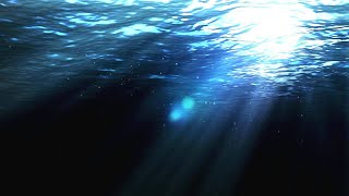 Copyright Free Underwater Background Loop  Motion Graphics Animated Background [upl. by Llezom]