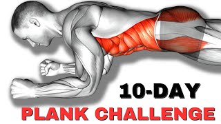 5Min Different Planks to Get 6 Pack Abs  10 Day Challenge to Lose Belly Fat amp Flatten Tummy [upl. by Araik]