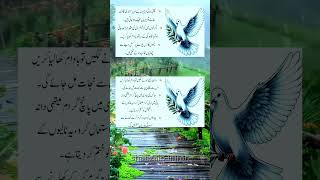 Desi Totkay and Tips in Urdu to Change Your Life Forever quotes shorts tips desitotkay [upl. by Brnaby]