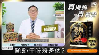 【腎虛，中咗幾多樣】樂道海狗元氣補  真海狗成分  養腎壯體質 [upl. by Tildi]