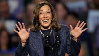 ‘Swinging the bat hard’ US mainstream media ‘pushing pretty hard’ for Kamala Harris [upl. by Irtimid221]