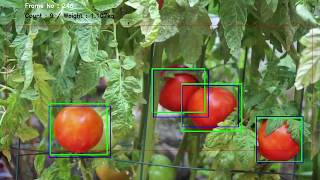 Multi object tracking with darkflowCNN and OpenCV [upl. by Orten301]