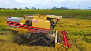 Mesin Padi NH8070  Jaloq Merah Hitam  di Megat Dewa [upl. by Steinberg523]