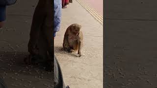 train station mein Masti karte hue [upl. by Ydnak]