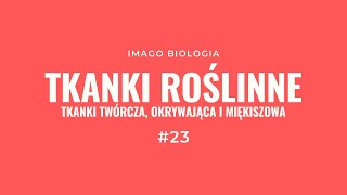 Tkanki roślinne  Część 1 Tkanki twórcza okrywająca i miękiszowa [upl. by Lynnett]