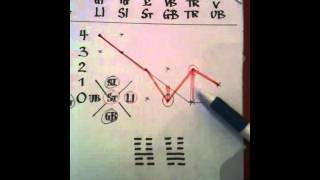 Acupuncture pulse diagnosis with pulse map 14 [upl. by Pelage]