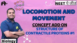 Locomotion amp Movement Class 11 Biology NEET  NCERT Chapter 17 Structure of Contractile Proteins 1 [upl. by Nyraa171]