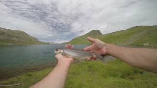 peche a la bombette un lac de haute montagne [upl. by Ecikram]