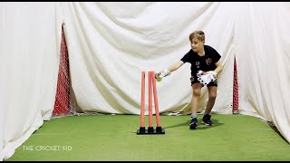 The Cricket Kid  Easy Wicketkeeping for Beginners [upl. by Edmunda647]