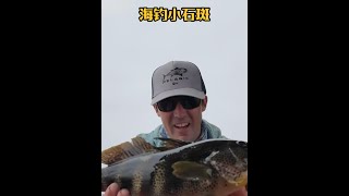 戶外釣魚：漁民用小螃蟹做餌在跨海大橋下釣獲石斑魚！ 原來釣魚才是抖音運動頂流 釣魚 [upl. by Onimixam]