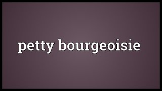 Petty bourgeoisie Meaning [upl. by Alimak536]