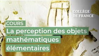 La perception des objets mathématiques élémentaires 1  Stanislas Dehaene 20232024 [upl. by Zingg]