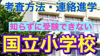 【小学校受験対策】知らずに受験できない国立小学校の特徴 [upl. by Atinet]