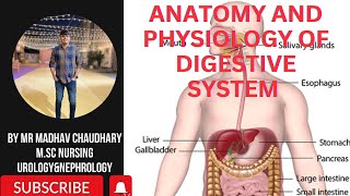 DIGESTIVE SYSTEM LEC1 ANATOMY AND PHYSIOLOGY anatomy digestivesystem digestion digestiveenzymes [upl. by Winonah821]