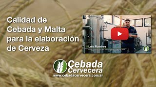 Calidad de Cebada y Malta para la elaboración de Cerveza [upl. by Emylee]