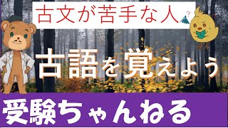 【国語＿古文】今とは意味が違う古語 [upl. by Amity50]