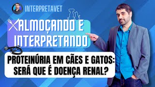 PROTEINÚRIA EM CÃES E GATOS será que é doença renal [upl. by Misab]