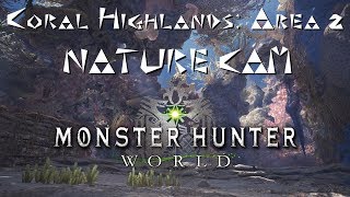 MHW Coral Highlands Area 2 Day Nature Cam [upl. by Belshin]