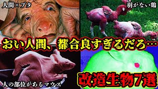 【遺伝子改造】人間が作り出したヤバい見た目の生物7選【ゆっくり解説】 [upl. by Eerdna903]