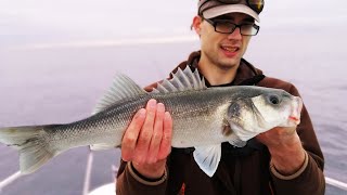 SEA BASS LURE FISHING in Brighton  Inshore Boat Fishing UK [upl. by Silloh]