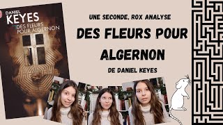 Analyse du roman quotDes fleurs pour Algernonquot de Daniel Keyes  Une seconde Rox [upl. by Ydnir]