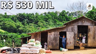 ®CHÁCARA PANORÂMICA DO VALDECI COM CASA LAVOURA DE CAFÉ PASTO E RIACHO R 530 MILCódigo2399 [upl. by Bronder]