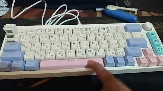 keyboard Zifriend ZA68 Pro Not Working [upl. by Tesil913]