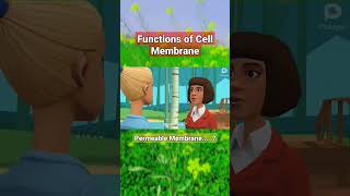 Functions and importance of Cell Membrane permeability of Cell membrane biologicalfacts biology [upl. by Saylor]