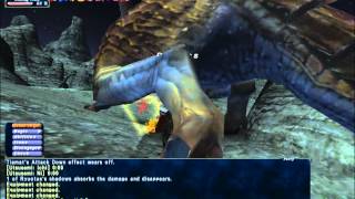 Final Fantasy XI  Tiamat RDM Solo [upl. by Janina25]