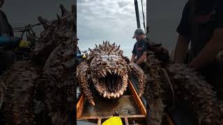 What Lurks Beneath Fishermen Shocked by Rare Monster Catch [upl. by Notsecnirp]