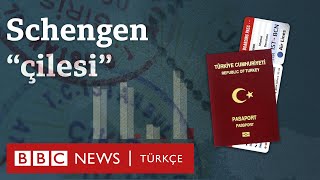 Türkiyede Schengen vizesi almak neden zorlaştı [upl. by Hogue102]