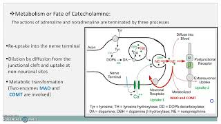 Metabolism of Adrenergic Drugs l Metabolism of Catecholamines  Catabolism of Catecholamines [upl. by Audwin]