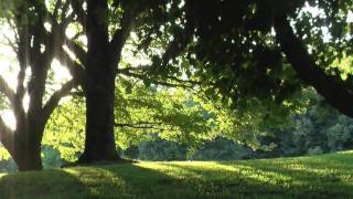 Ein Spaziergang durch den Stadtgarten von Würselen [upl. by Zippora]