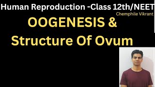 OOGENESIS amp Structure Of Ovum chemphilevikrant [upl. by Tymon]