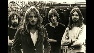 Pink Floyd  Time  Isolated Vocals [upl. by Evets581]