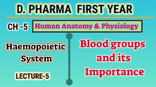 Blood group  Importance of blood group  Ch5  L5  Haemopoietic system  HAP DPharm first year [upl. by Kcir]