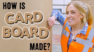 How is CARDBOARD made  Maddie Moate [upl. by Aniham]