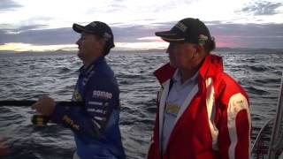 Fishing for Snapper using Cubes  Reel Action TV [upl. by Giwdul]