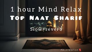 top naat 1hr mind relaxing 💖slowreverb slowed viralmy new channel link👇 [upl. by Ynnam391]