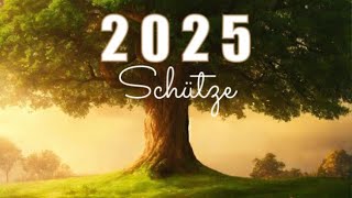 SCHÜTZE 2025🔮Große Jahresvorschau [upl. by Anide]