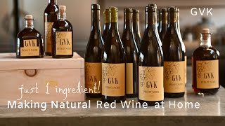 How to Make Natural Red Wine at Home [upl. by Arras]