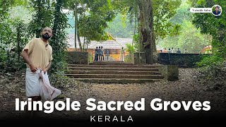 Iringole Kavu  The Largest sacred grove in Kerala VLOG [upl. by Noloc627]