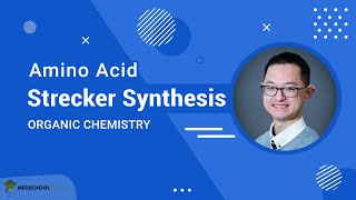 Strecker Synthesis of Amino Acids  MCAT Organic Chemistry Prep [upl. by Emyaj]