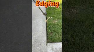 Edging peanut chickennuggets grass gardenequipment lawn grassfinished lawnmaintenance grass [upl. by Ailalue]