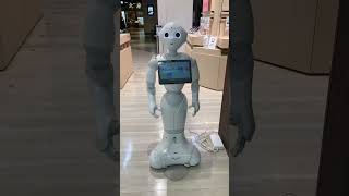 Domo Arigato Mr Roboto japan robots travel technology future explore japaneseculture [upl. by Stanley]