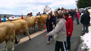 Transhumance Aubrac 2 2013 [upl. by Ninnahc531]